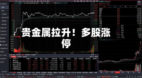 贵金属拉升！多股涨停-第2张图片