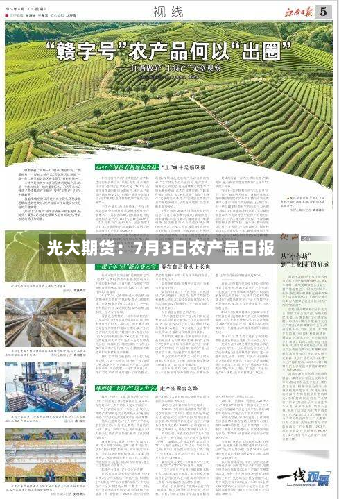 光大期货：7月3日农产品日报-第1张图片