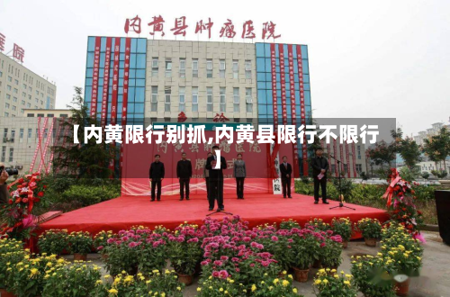 【内黄限行别抓,内黄县限行不限行】-第2张图片
