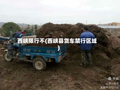 西峡限行不(西峡县货车禁行区域)-第2张图片