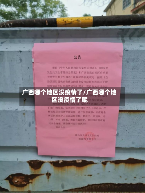 广西哪个地区没疫情了/广西哪个地区没疫情了呢-第3张图片
