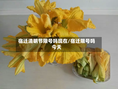 宿迁清明节限号吗现在/宿迁限号吗今天