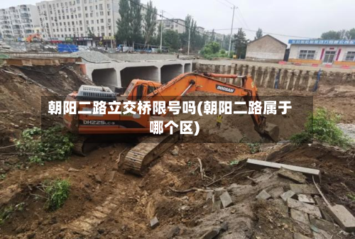 朝阳二路立交桥限号吗(朝阳二路属于哪个区)