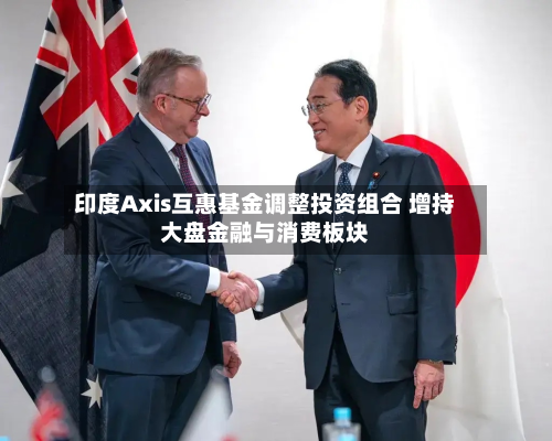 印度Axis互惠基金调整投资组合 增持大盘金融与消费板块-第2张图片