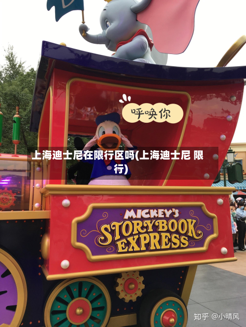 上海迪士尼在限行区吗(上海迪士尼 限行)