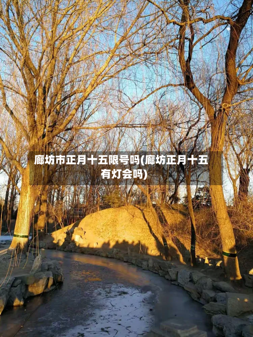 廊坊市正月十五限号吗(廊坊正月十五有灯会吗)