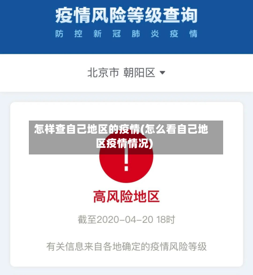 怎样查自己地区的疫情(怎么看自己地区疫情情况)