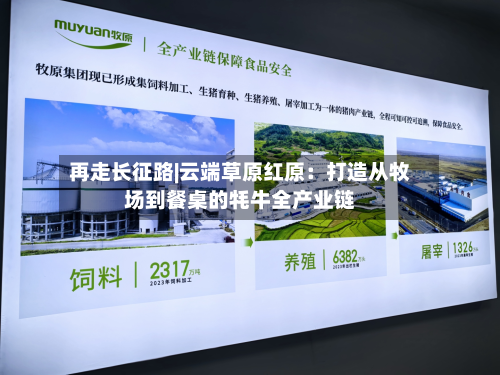 再走长征路|云端草原红原:打造从牧场到餐桌的牦牛全产业链-第2张图片