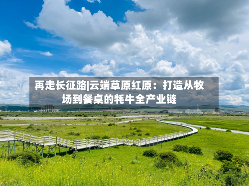 再走长征路|云端草原红原：打造从牧场到餐桌的牦牛全产业链