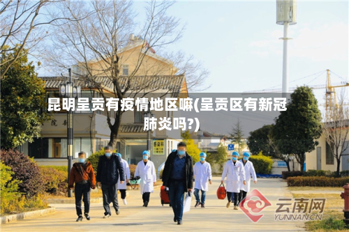 昆明呈贡有疫情地区嘛(呈贡区有新冠肺炎吗?)