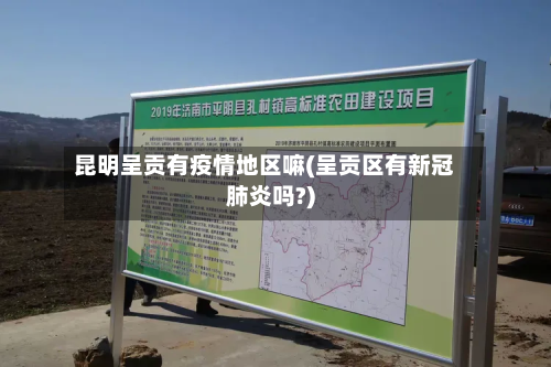 昆明呈贡有疫情地区嘛(呈贡区有新冠肺炎吗?)-第2张图片