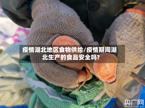 疫情湖北地区食物供给/疫情期间湖北生产的食品安全吗?