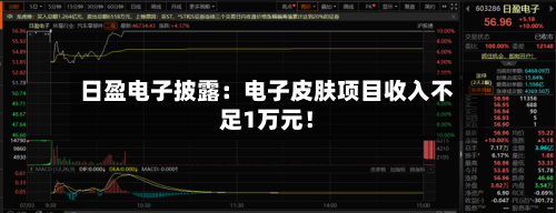 日盈电子披露：电子皮肤项目收入不足1万元！-第2张图片
