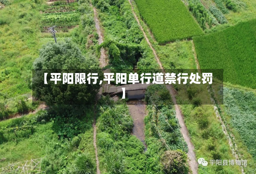 【平阳限行,平阳单行道禁行处罚】-第2张图片