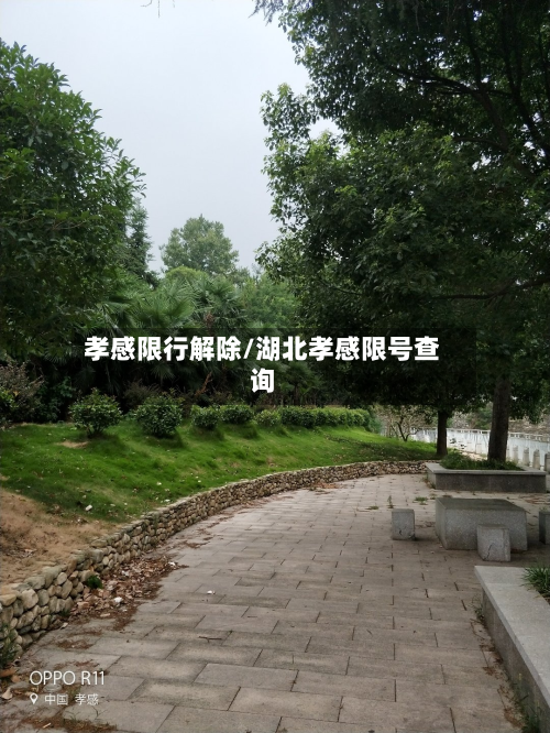 孝感限行解除/湖北孝感限号查询