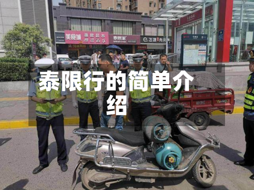 泰限行的简单介绍-第2张图片