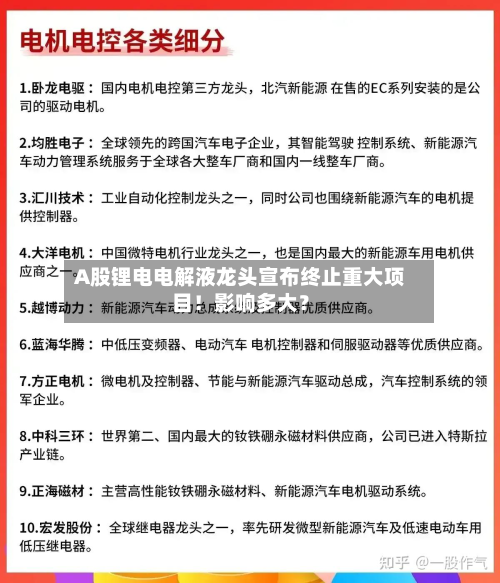 A股锂电电解液龙头宣布终止重大项目！影响多大？-第2张图片