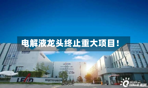 电解液龙头终止重大项目！-第2张图片