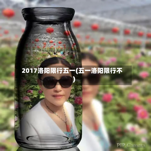 2017洛阳限行五一(五一洛阳限行不)