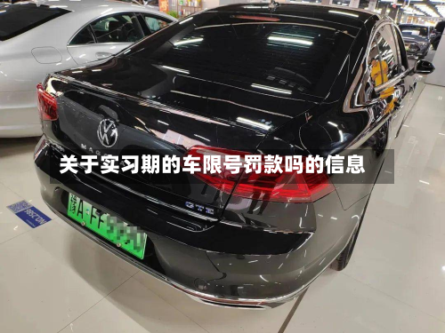 关于实习期的车限号罚款吗的信息-第2张图片