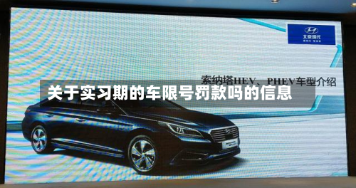 关于实习期的车限号罚款吗的信息