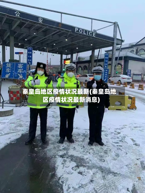 秦皇岛地区疫情状况最新(秦皇岛地区疫情状况最新消息)