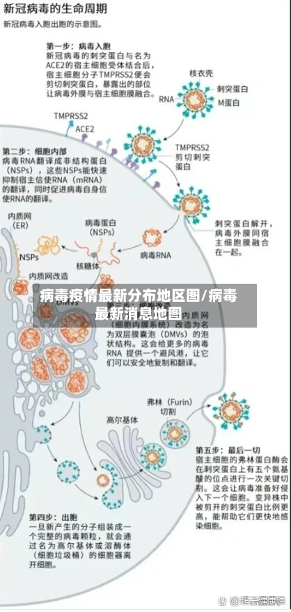 病毒疫情最新分布地区图/病毒最新消息地图