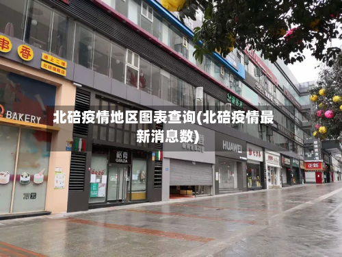 北碚疫情地区图表查询(北碚疫情最新消息数)-第2张图片