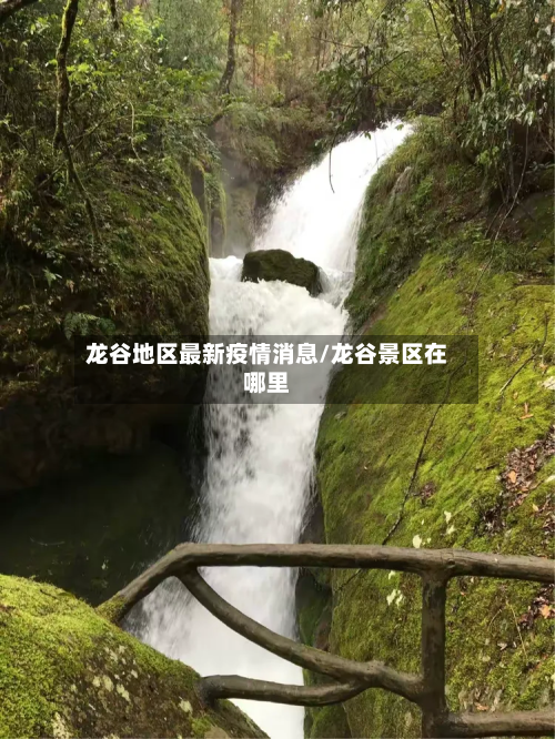 龙谷地区最新疫情消息/龙谷景区在哪里-第3张图片