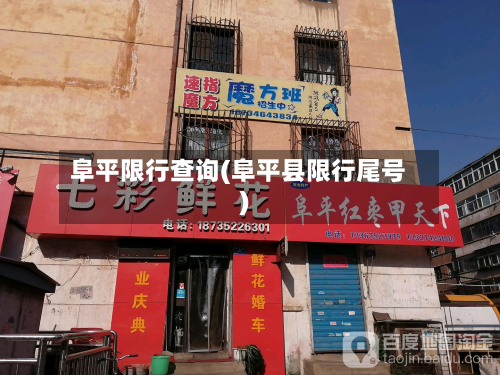阜平限行查询(阜平县限行尾号)-第2张图片
