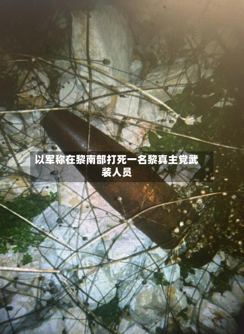 以军称在黎南部打死一名黎真主党武装人员-第2张图片