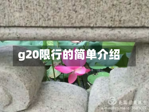 g20限行的简单介绍