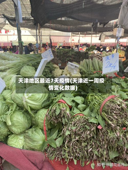 天津地区最近7天疫情(天津近一周疫情变化数据)-第3张图片
