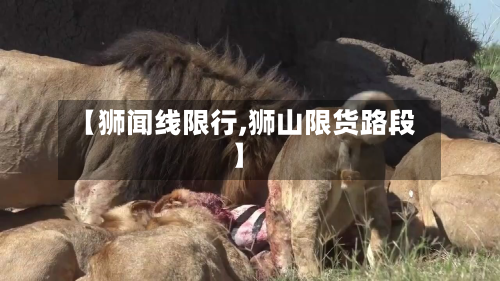 【狮闻线限行,狮山限货路段】-第2张图片