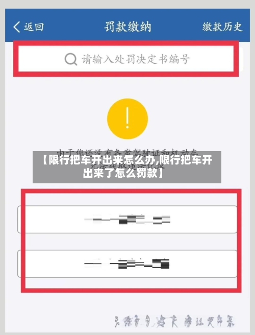 【限行把车开出来怎么办,限行把车开出来了怎么罚款】-第3张图片