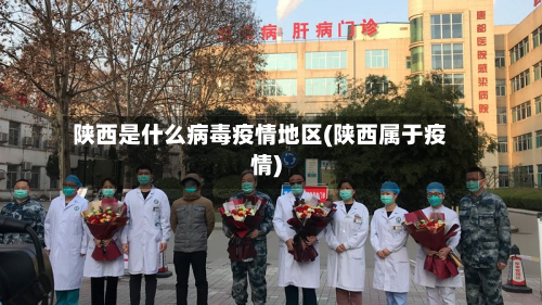 陕西是什么病毒疫情地区(陕西属于疫情)-第2张图片