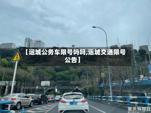 【运城公务车限号吗吗,运城交通限号公告】-第2张图片