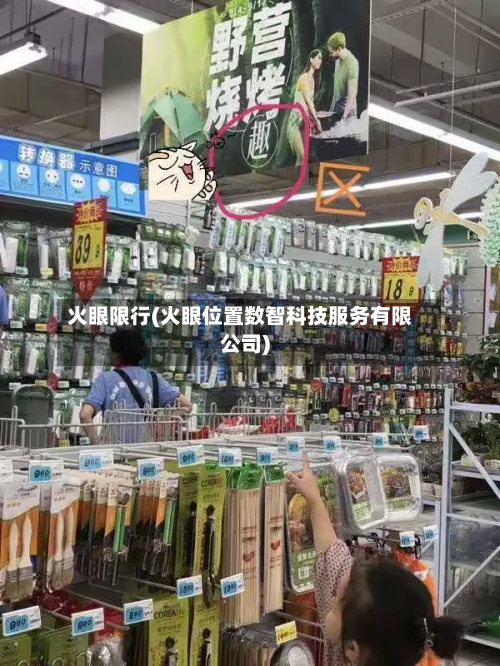 火眼限行(火眼位置数智科技服务有限公司)