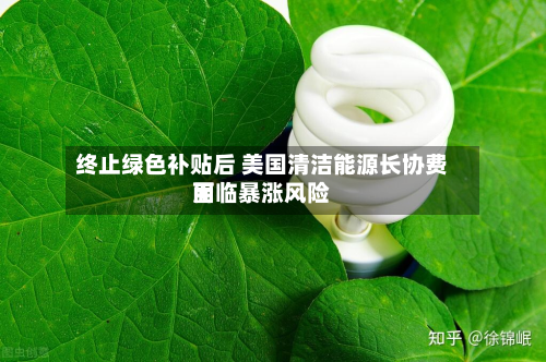 终止绿色补贴后 美国清洁能源长协费用面临暴涨风险