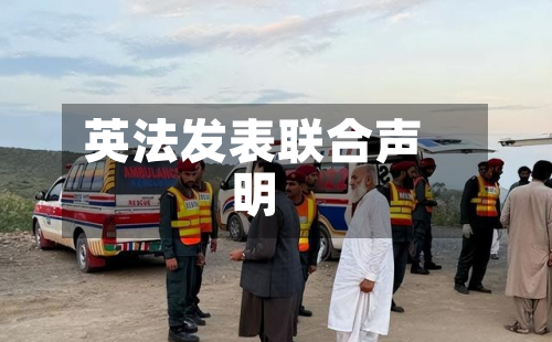 英法发表联合声明-第2张图片