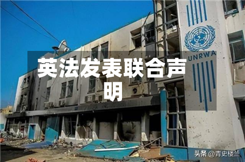英法发表联合声明