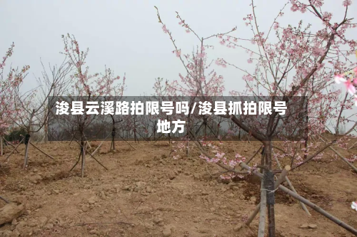 浚县云溪路拍限号吗/浚县抓拍限号地方