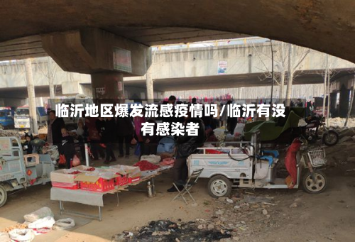 临沂地区爆发流感疫情吗/临沂有没有感染者