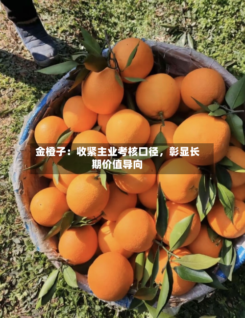 金橙子：收紧主业考核口径	，彰显长期价值导向-第2张图片