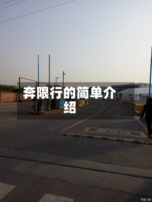 奔限行的简单介绍