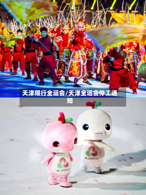 天津限行全运会/天津全运会停工通知-第2张图片