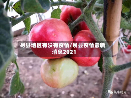 易县地区有没有疫情/易县疫情最新消息2021-第2张图片