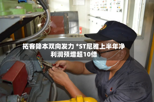 拓客降本双向发力 *ST尼雅上半年净利润预增超10倍-第2张图片