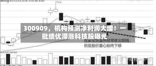 300909	，机构预测净利润大增！一批绩优滞涨科技股曝光-第2张图片
