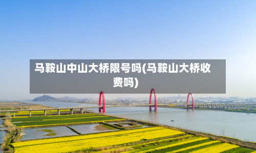马鞍山中山大桥限号吗(马鞍山大桥收费吗)